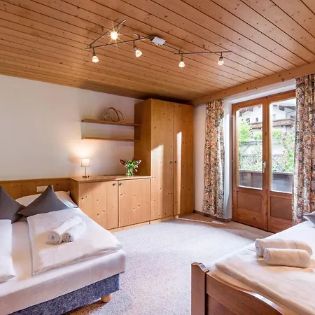 Holiday home Gaensebluemchen Finkenberg